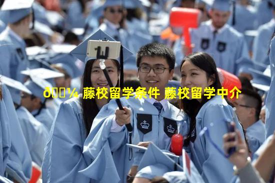 🌼 藤校留学条件 藤校留学中介